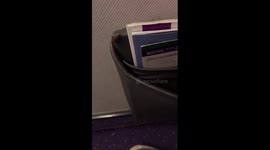 Airline apologises after cockroach was seen in magazine pocket