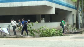 Locals help to remove tree felled by Typhoon Mangkhut in Hong Kong
