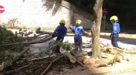 Workers remove felled trees from road following Typhoon Mangkhut in Hong Kong