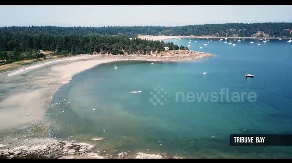 Stunning video of sandy beaches in Vancouver Island | Denman and Hornby the Little Hawaii in  British Columbia