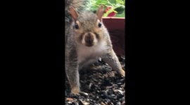 After a late night drinking