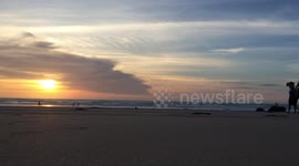 Camels at cable beach