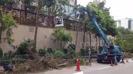 Workers in Hong Kong clear tree debris post-Typhoon Mangkhut