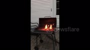 temp