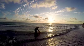 Paleo Shark Teeth Hunting Sunset on the beach