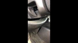 Up close and personal with spider