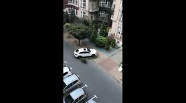 Driver tries three point turn and knocks over a tree