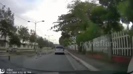 Shocking moment car driver throws puppy from window before good samaritan rescues it