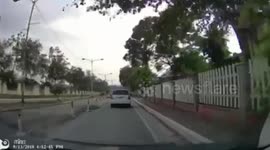 Shocking moment car driver throws puppy from window before good samaritan rescues it (Improved still photos)