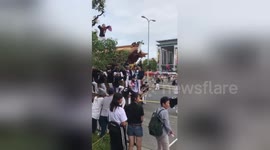 Float carrying dozens overturns in Osaka, Japan