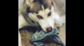 Punished, no more going out.