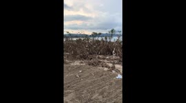 Typhoon Mangkhut Aftermath