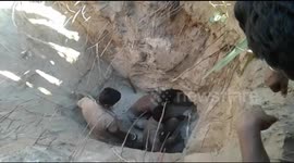 Moment firefighters pull out little girl from 25ft-deep borewell in India