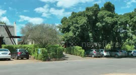 SOUTH AFRICA Addo main camp (hd-video)