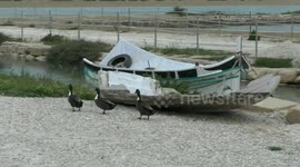 The three musketeers.