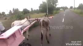 When petrol price @100