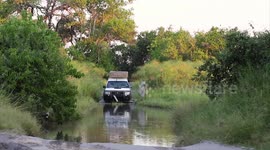 Botswana wildlife. A video of our half year trip to the most amazing wild places of Botswana.