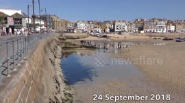 Hundreds of mackerel are stranded on a british beach after getting caught out by the tide