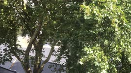 Fire at the Highbury Leisure centre