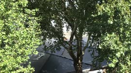 Fire at the Highbury Leisure centre in London