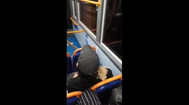 Bearded Dragon Rides the Night Bus from Deptford to Plumpstead