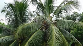 The wind is blowing...