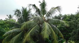 The wind is blowing.....