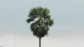 The wind is blowing....