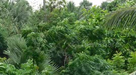 The wind is blowing......