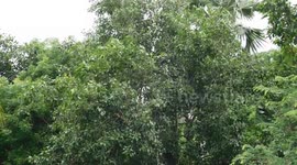 The wind is blowing........