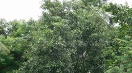 The wind is blowing.........