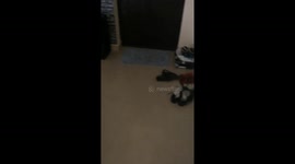 My Doggy Knows How To Act Dying Haha