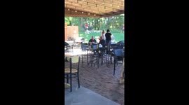 Hunting pups at a brewery in NY