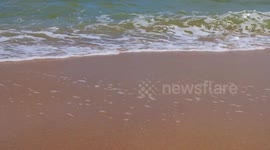 Waves Breaking on the Beach