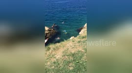 Small dog rescued by 'dad' after boat tips in the sea