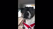 temp