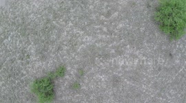 makgadikgadi after a rain storm drone video