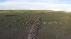 Central Kalahari Game Reserve drone video
