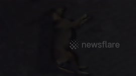 Suddenly A Bad Sound Happened And The Sleeping Dogs Are Shocked And Run Away