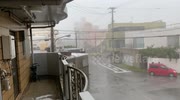 temp