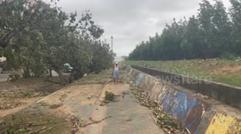 Dozens injured as Typhoon Trami batters southern and western Japan