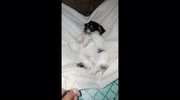 temp