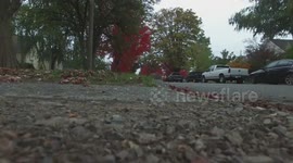 Drone gets stuck in a tree