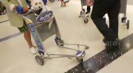 man stealing food at 7-eleven LAX airport police officer gives money to a man to eat