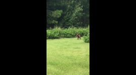 Sneaking out of work early on a Friday afternoon...