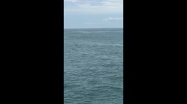 Amazing tourist boat encounter with humpback whale