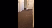 temp