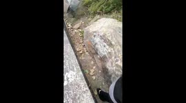 All I said was snake