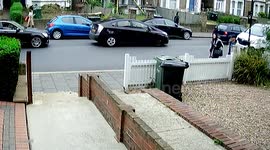 Just let your dog shit on my parth