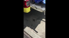 The injured arrive at Palu Airport awaiting President Joko's arriving.